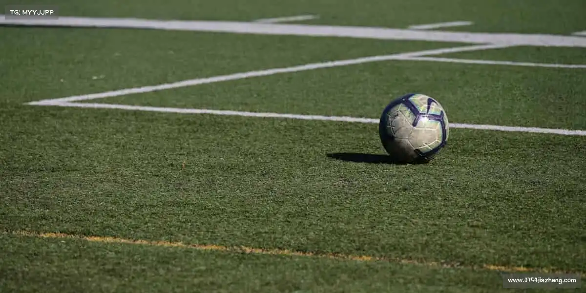 金年会官方在线登录——一拍即合，运动无限！🎯